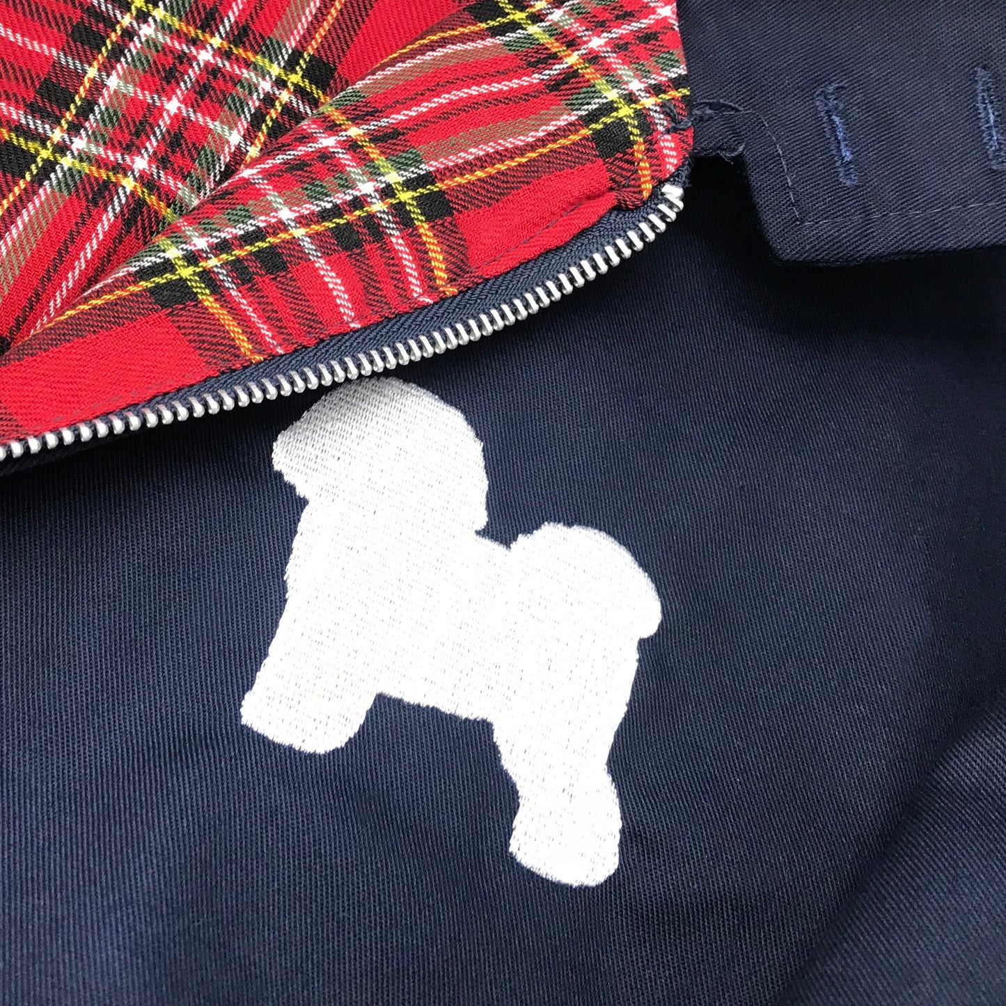 Bichon Frise Puppy Jacket for Sale