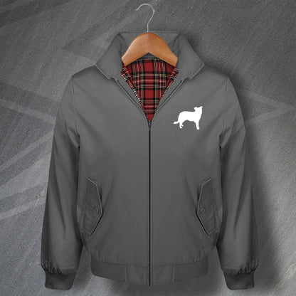 Border Collie Harrington Jacket