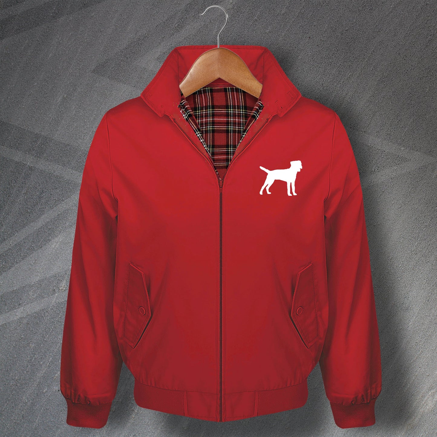 Border Terrier Jacket for Sale