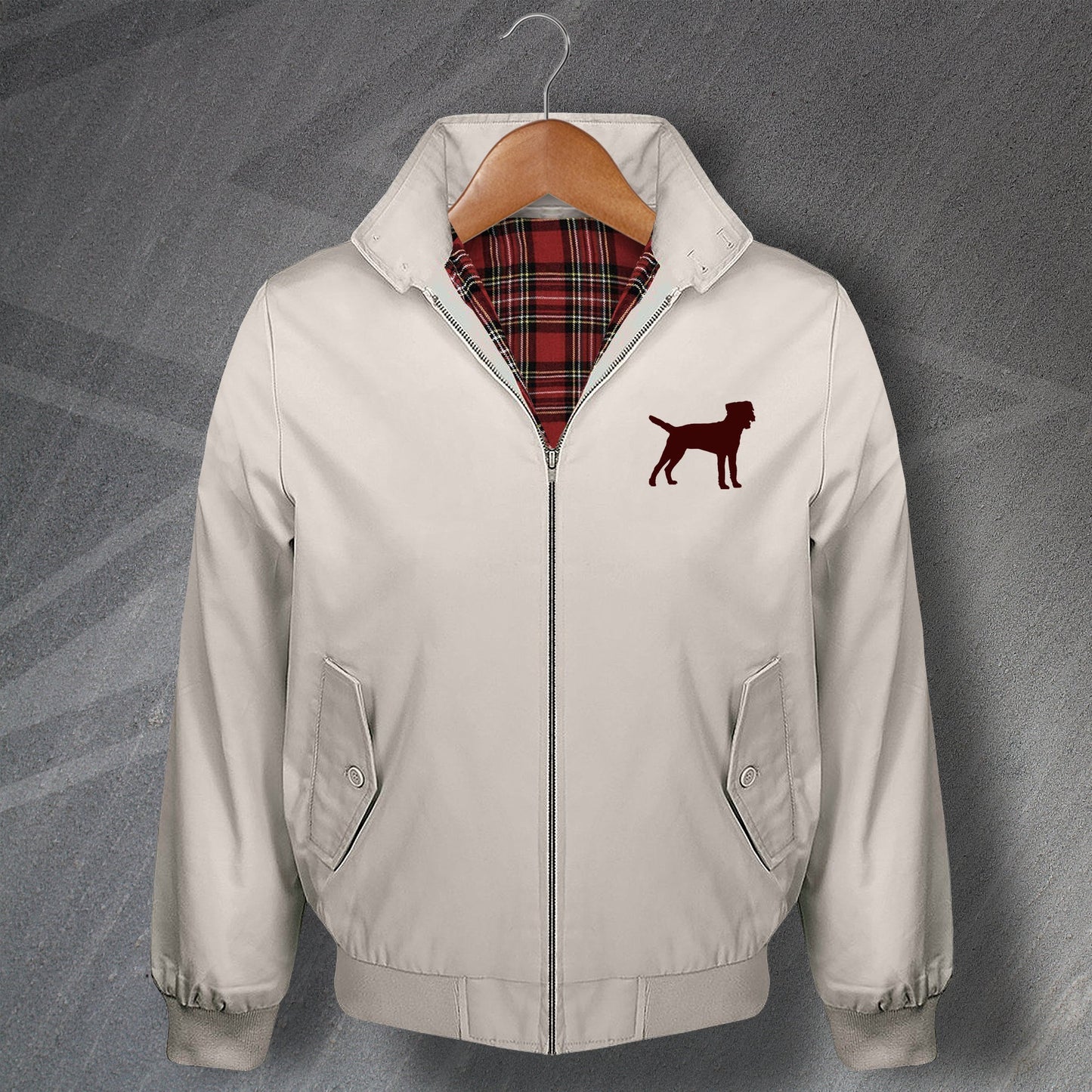 Border Terrier Jacket for Sale