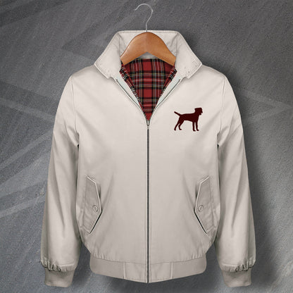 Border Terrier Jacket for Sale